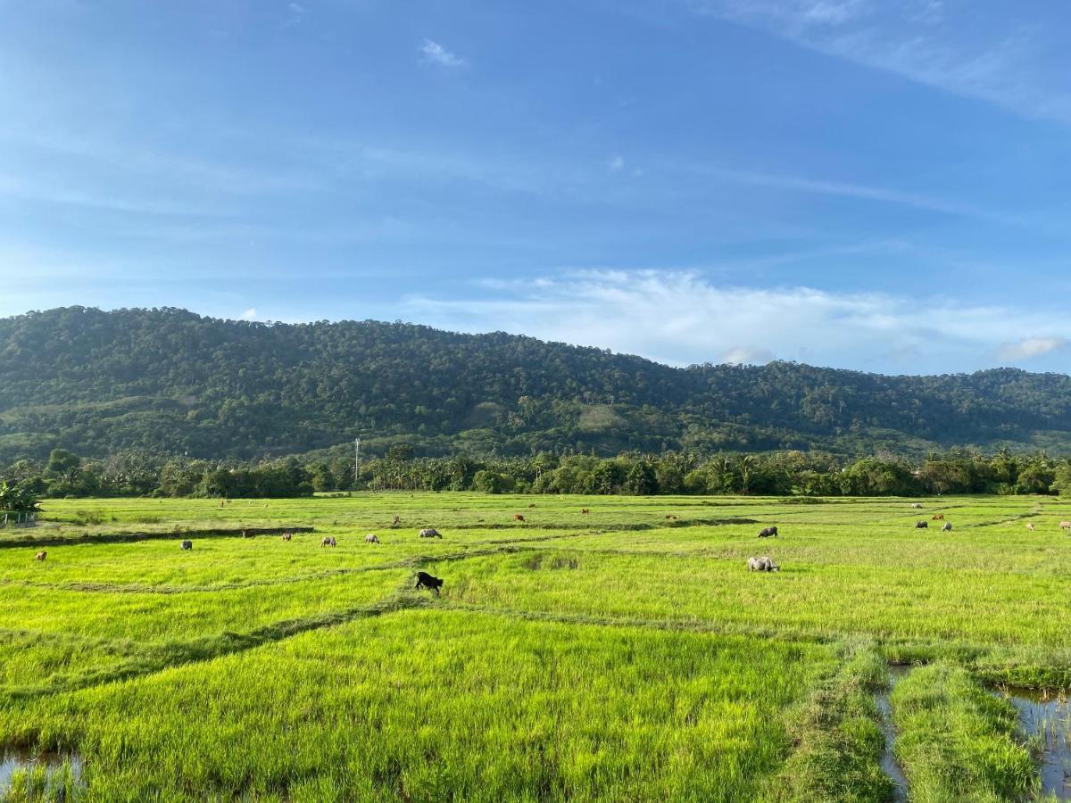 Lamanleman Langkawi Pantai Cenang (Langkawi) Exterior foto